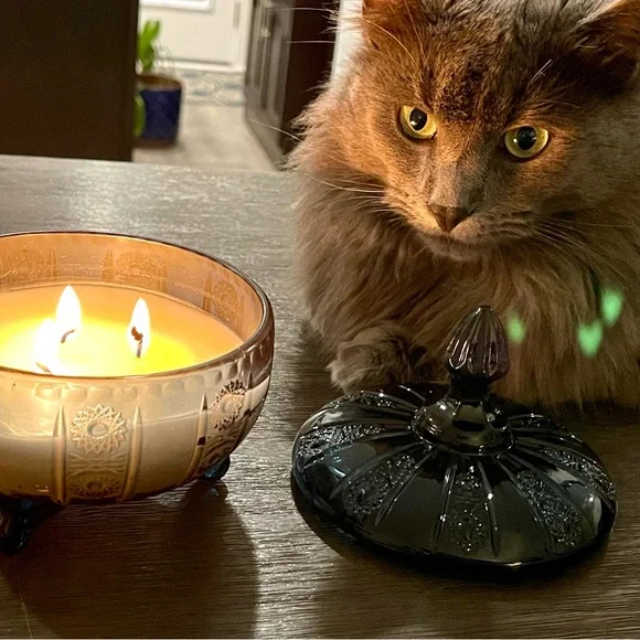 ‼️LIVE SHOW NOTIFICATION POST!‼️ - Picture 5 of 5